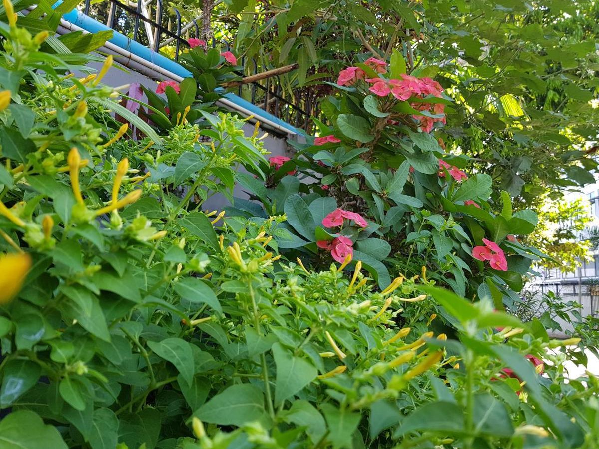 Beauty Land Hotel Yangon Esterno foto